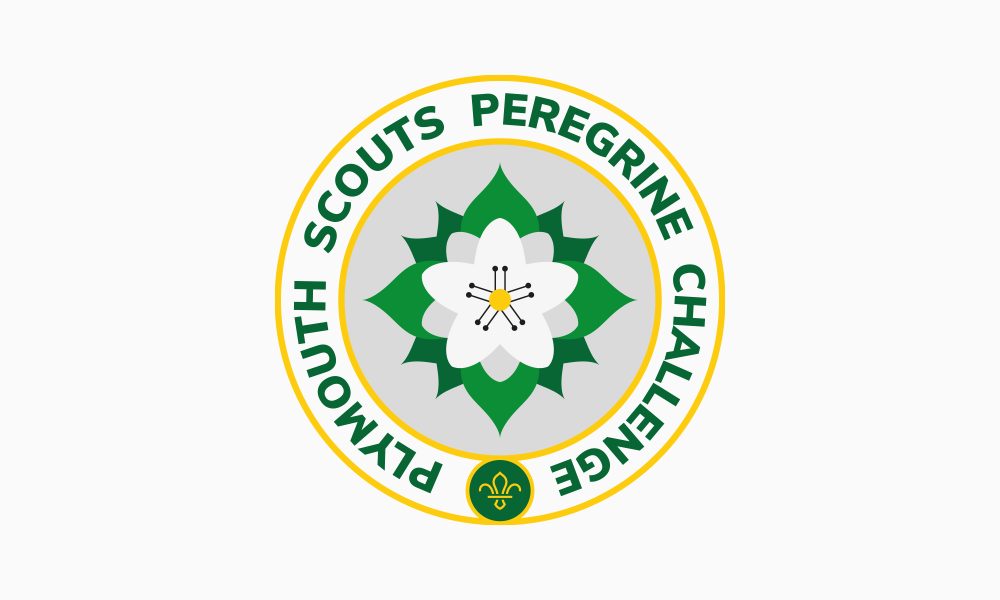 Plymouth scouts peregrine challenge badge design